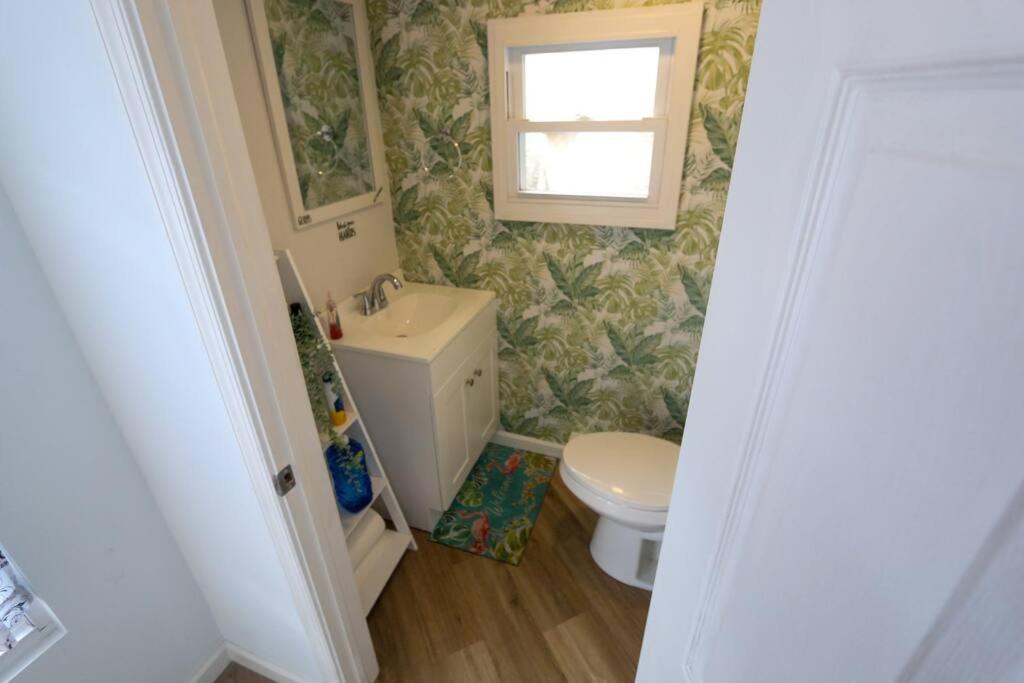 Cozy Modern 3 Bedroom Home In West Philly فيلادلفيا المظهر الخارجي الصورة